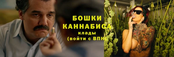 шишки Балабаново