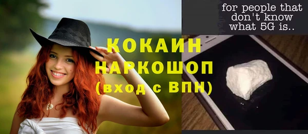 шишки Балабаново