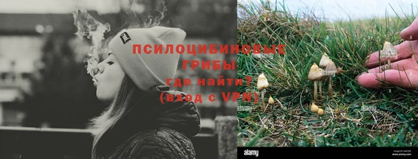 шишки Балабаново