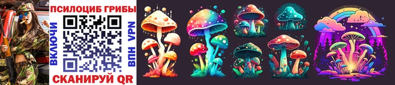 OMG ТОР  как найти   Городовиковск  Галлюциногенные грибы Psilocybine cubensis 